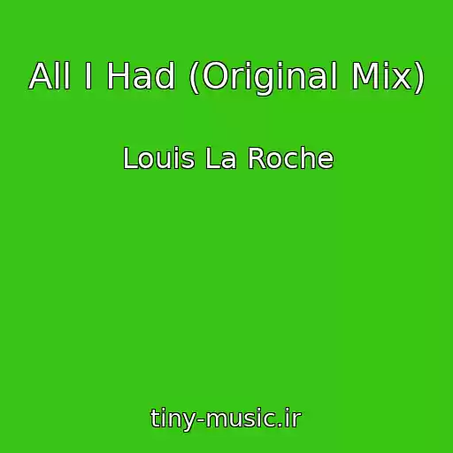 کاور آهنگ All I Had (Original Mix) از Louis La Roche