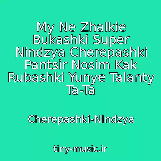 کاور آهنگ My Ne Zhalkie Bukashki Super Nindzya Cherepashki Pantsir Nosim Kak Rubashki Yunye Talanty Ta-Ta از Cherepashki-Nindzya