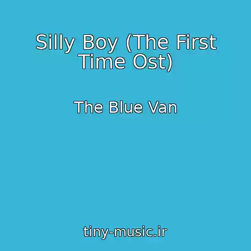 کاور آهنگ Silly Boy (The First Time Ost) از The Blue Van