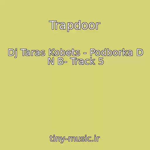 کاور آهنگ Trapdoor از Dj Taras Kobets - Podborka D N B- Track 5