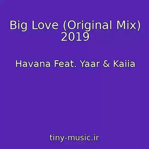 کاور آهنگ Big Love (Original Mix) 2019 از Havana Feat. Yaar & Kaiia