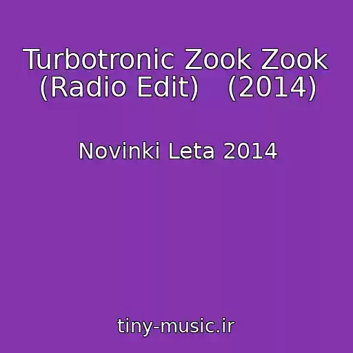 کاور آهنگ Turbotronic Zook Zook (Radio Edit)   (2014) از Novinki Leta 2014