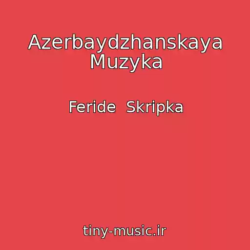 کاور آهنگ Azerbaydzhanskaya Muzyka از Feride  Skripka