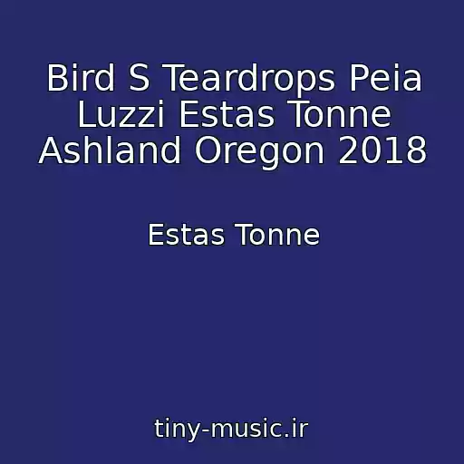 کاور آهنگ Bird S Teardrops Peia Luzzi Estas Tonne Ashland Oregon 2018 از Estas Tonne