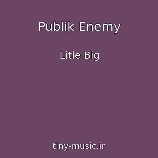 کاور آهنگ Publik Enemy از Litle Big
