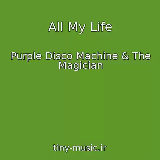 کاور آهنگ All My Life از Purple Disco Machine & The Magician