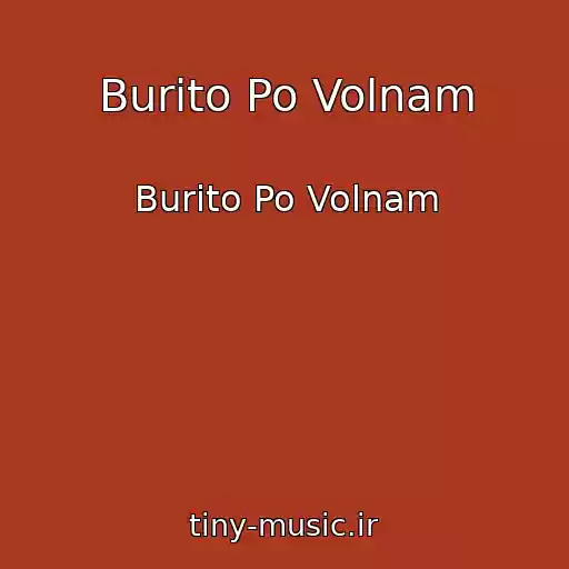 کاور آهنگ Burito Po Volnam از Burito Po Volnam