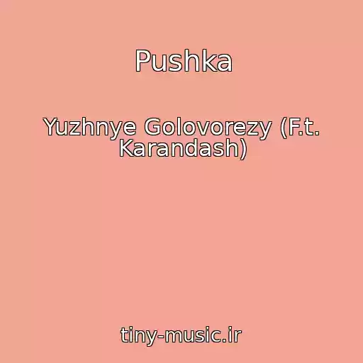 کاور آهنگ Pushka از Yuzhnye Golovorezy (F.t. Karandash)