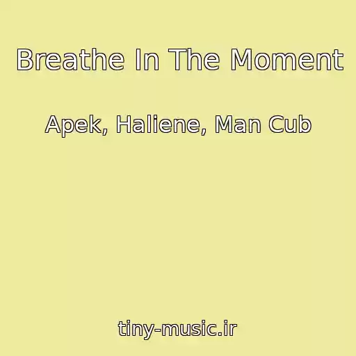 کاور آهنگ Breathe In The Moment از Apek, Haliene, Man Cub