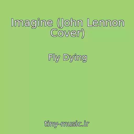 کاور آهنگ Imagine (John Lennon Cover) از Fly Dying