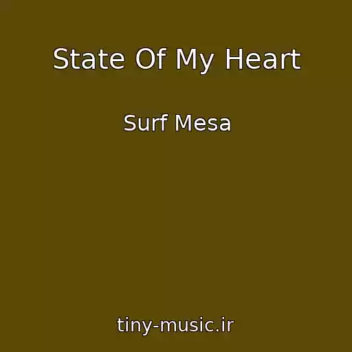 کاور آهنگ State Of My Heart از Surf Mesa