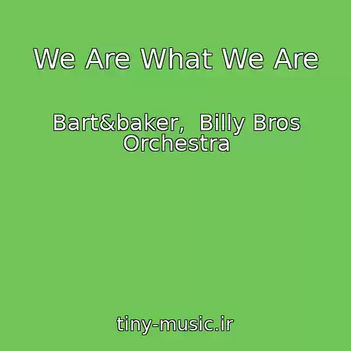 کاور آهنگ We Are What We Are از Bart&baker,  Billy Bros Orchestra