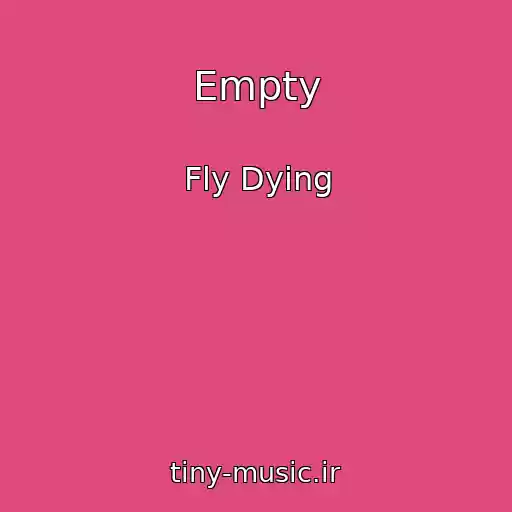 کاور آهنگ Empty از Fly Dying