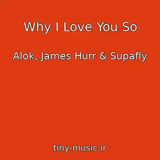 کاور آهنگ Why I Love You So از Alok, James Hurr & Supafly