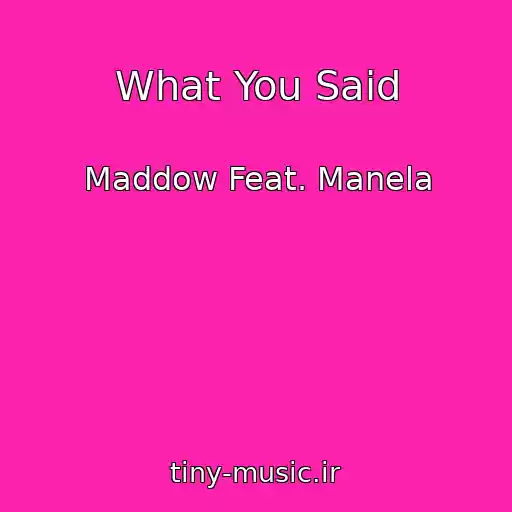 کاور آهنگ What You Said از Maddow Feat. Manela