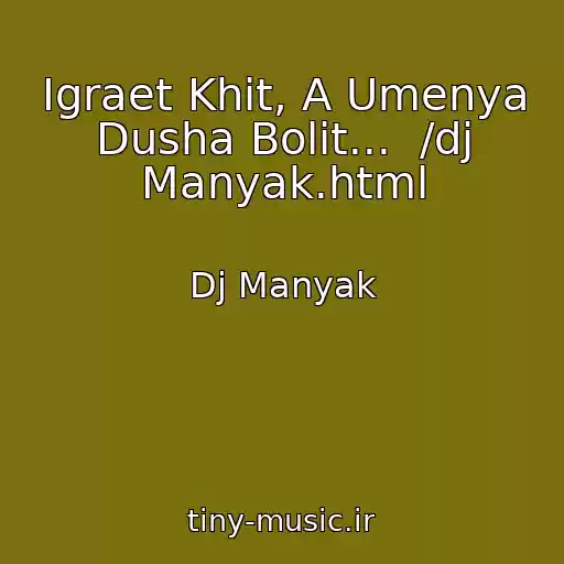 کاور آهنگ Igraet Khit, A Umenya Dusha Bolit...  /dj Manyak.html از Dj Manyak