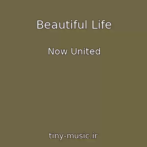 کاور آهنگ Beautiful Life از Now United