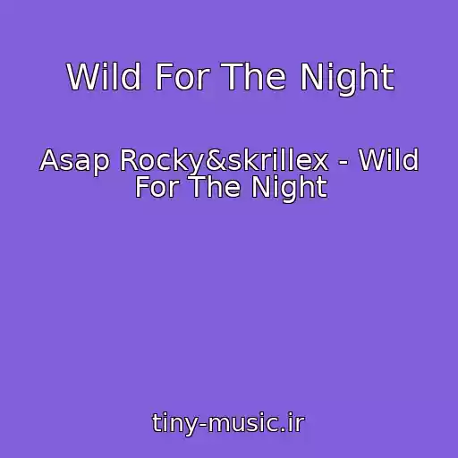 کاور آهنگ Wild For The Night از Asap Rocky&skrillex - Wild For The Night