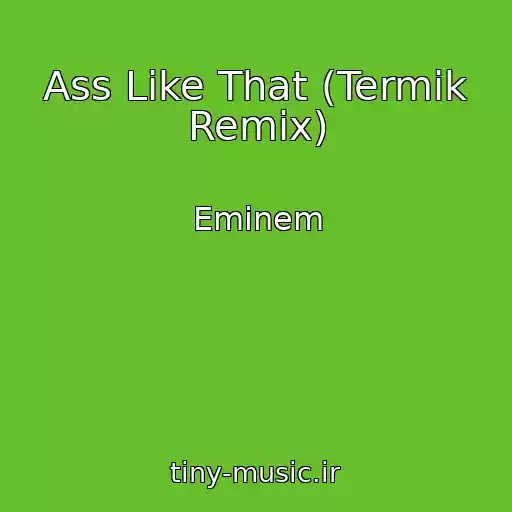 کاور آهنگ Ass Like That (Termik Remix) از Eminem