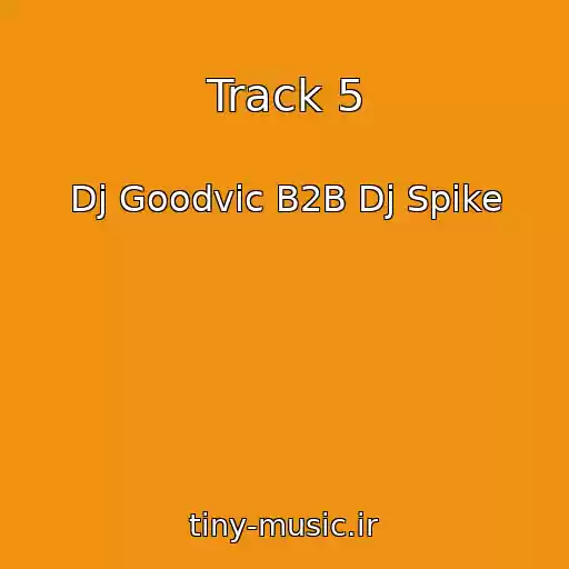کاور آهنگ Track 5 از Dj Goodvic B2B Dj Spike