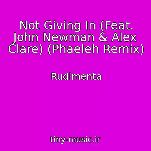 کاور آهنگ Not Giving In (Feat. John Newman & Alex Clare) (Phaeleh Remix) از Rudimenta