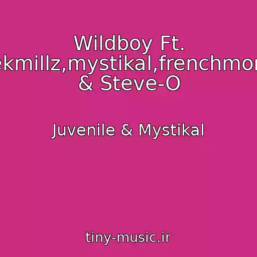 کاور آهنگ Wildboy Ft. 2Chainz,meekmillz,mystikal,frenchmontana,yogotti & Steve-O از Juvenile & Mystikal