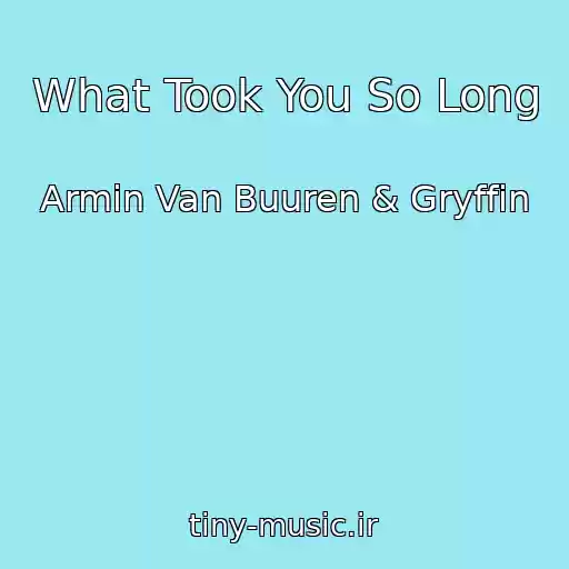 کاور آهنگ What Took You So Long از Armin Van Buuren & Gryffin