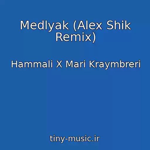 کاور آهنگ Medlyak (Alex Shik Remix) از Hammali X Mari Kraymbreri