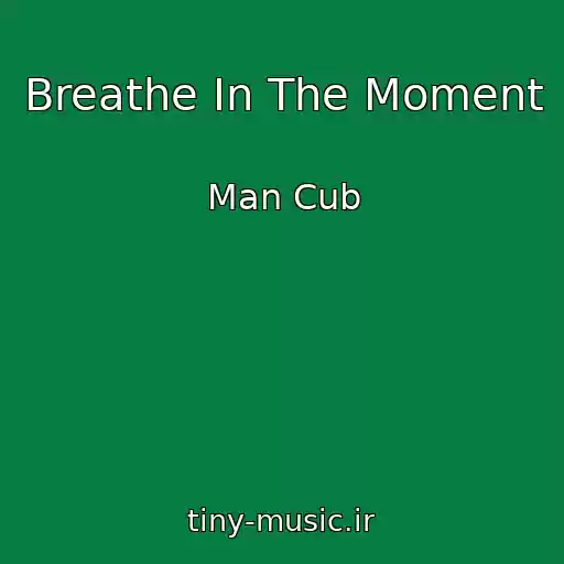 کاور آهنگ Breathe In The Moment از Man Cub