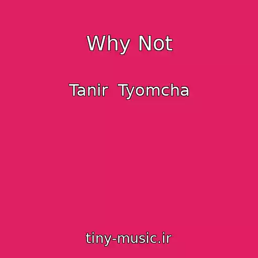 کاور آهنگ Why Not از Tanir  Tyomcha
