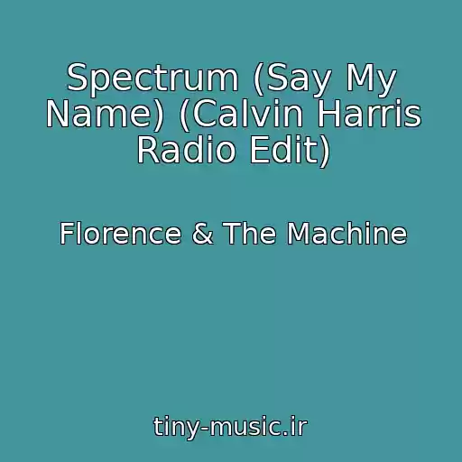 کاور آهنگ Spectrum (Say My Name) (Calvin Harris Radio Edit) از Florence & The Machine