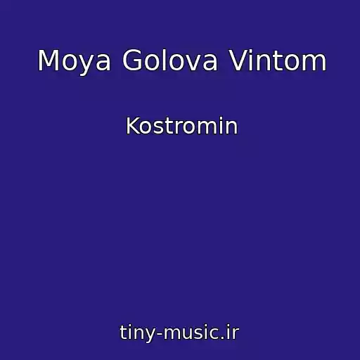 کاور آهنگ Moya Golova Vintom از Kostromin