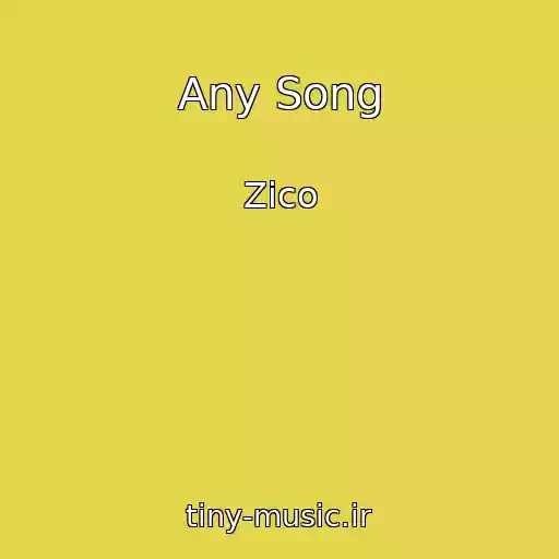 کاور آهنگ Any Song از Zico