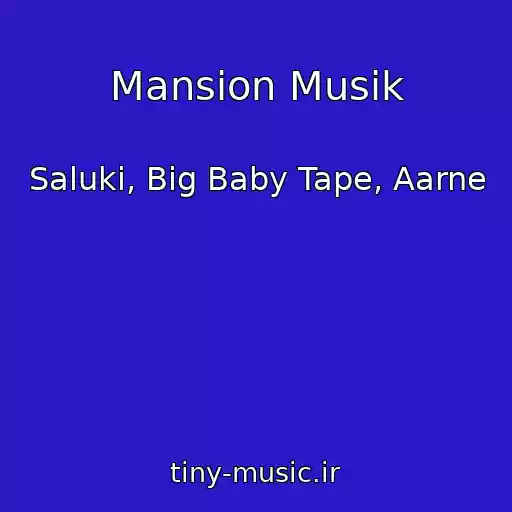 کاور آهنگ Mansion Musik از Saluki, Big Baby Tape, Aarne