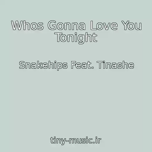 کاور آهنگ Whos Gonna Love You Tonight از Snakehips Feat. Tinashe