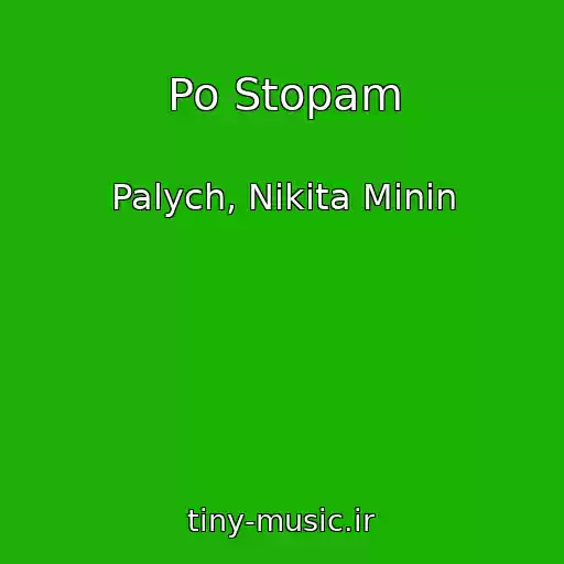 کاور آهنگ Po Stopam از Palych, Nikita Minin