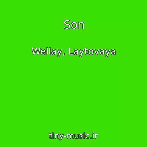 کاور آهنگ Son از Wellay, Laytovaya