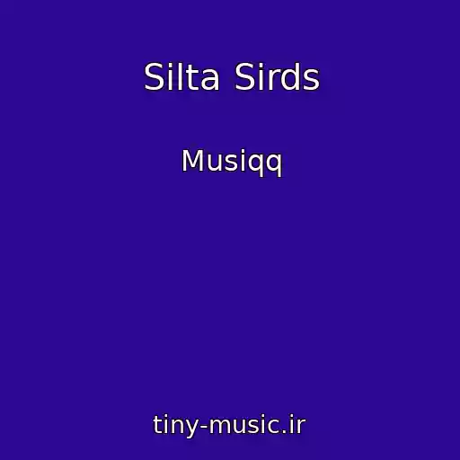 کاور آهنگ Silta Sirds از Musiqq