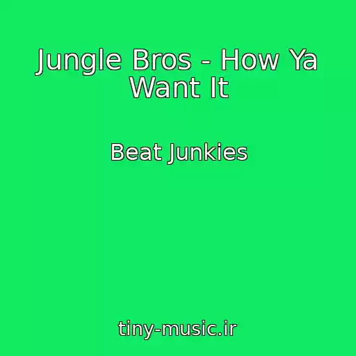 کاور آهنگ Jungle Bros - How Ya Want It از Beat Junkies