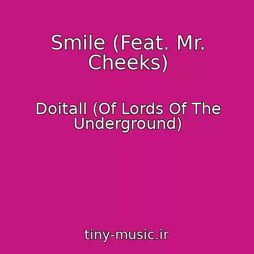 کاور آهنگ Smile (Feat. Mr. Cheeks) از Doitall (Of Lords Of The Underground)