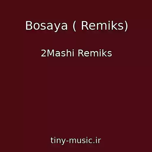 کاور آهنگ Bosaya ( Remiks) از 2Mashi Remiks