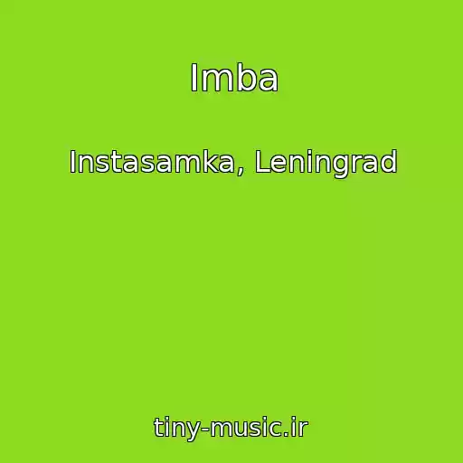 کاور آهنگ Imba از Instasamka, Leningrad