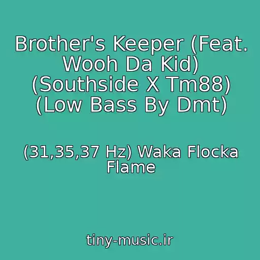 کاور آهنگ Brother's Keeper (Feat. Wooh Da Kid) (Southside X Tm88) (Low Bass By Dmt) از (31,35,37 Hz) Waka Flocka Flame