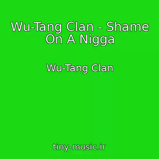 کاور آهنگ Wu-Tang Clan - Shame On A Nigga از Wu-Tang Clan