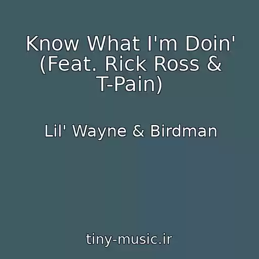 کاور آهنگ Know What I'm Doin' (Feat. Rick Ross & T-Pain) از Lil' Wayne & Birdman