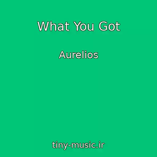 کاور آهنگ What You Got از Aurelios