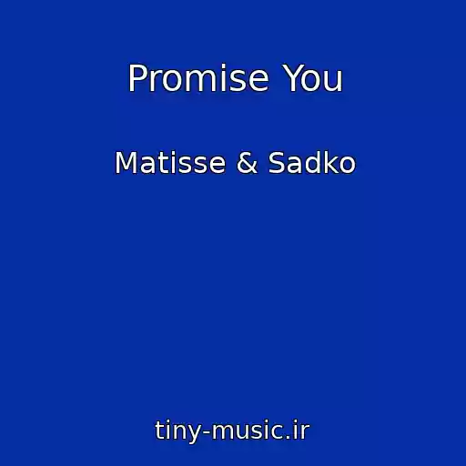 کاور آهنگ Promise You از Matisse & Sadko