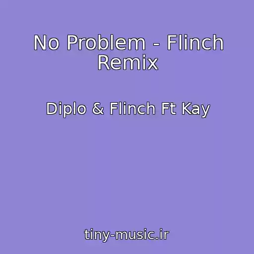 کاور آهنگ No Problem - Flinch Remix از Diplo & Flinch Ft Kay