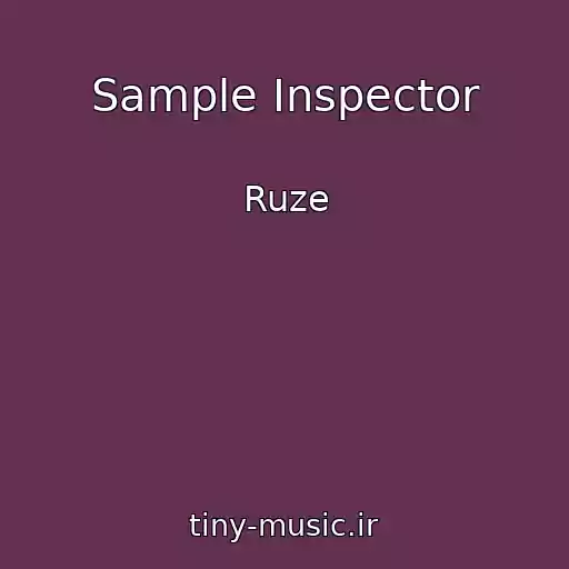 کاور آهنگ Sample Inspector از Ruze