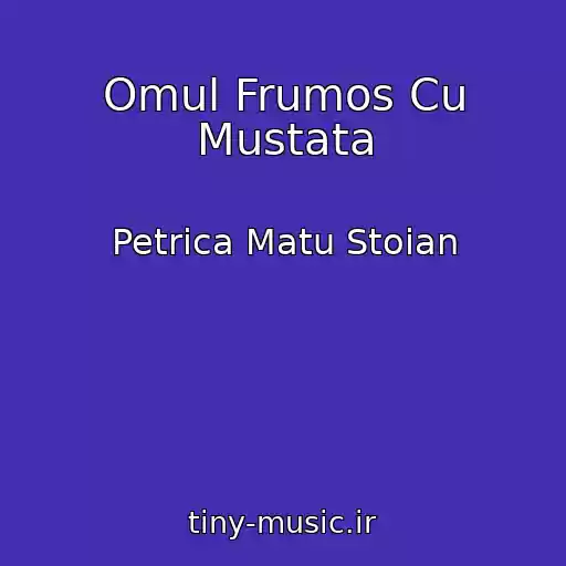 کاور آهنگ Omul Frumos Cu Mustata از Petrica Matu Stoian